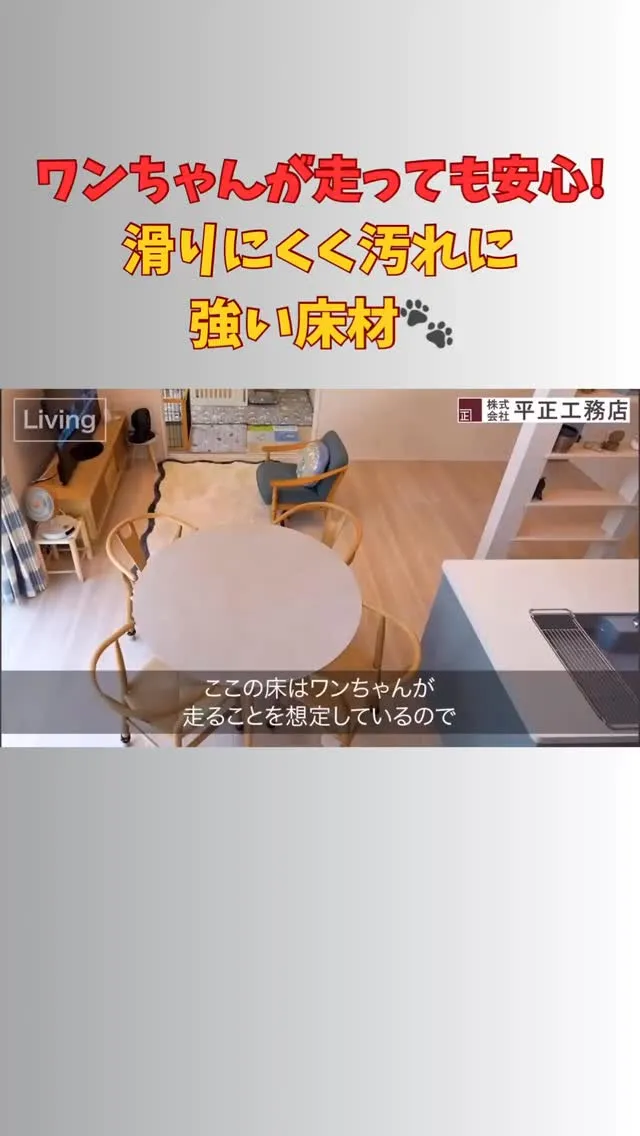 ワンちゃんたちが元気に走り回れるように、