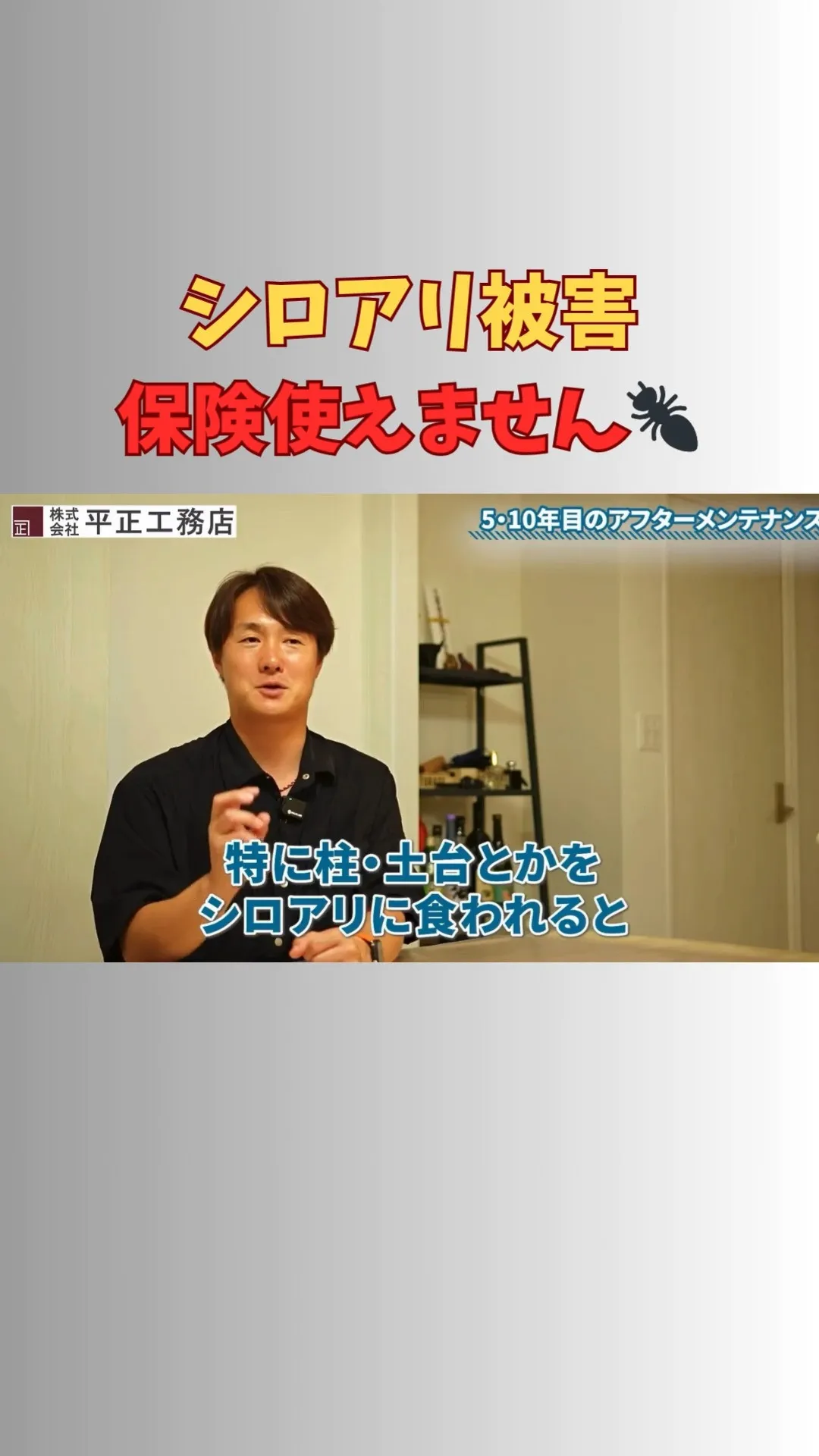 シロアリ保証はほとんどが5年です。