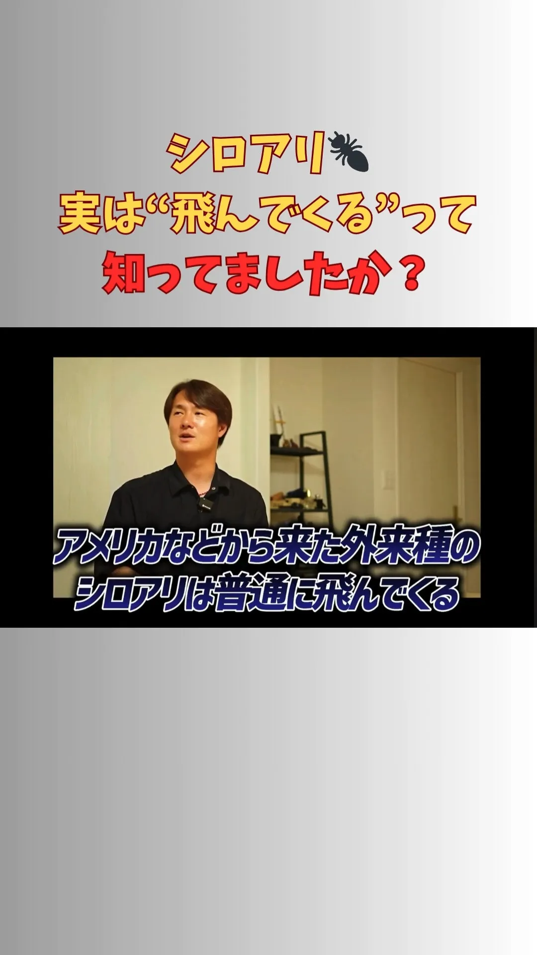 【アフターメンテナンス、何をする？】